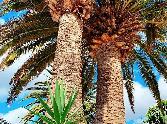 Llamar * Пуэрто дель Кармен