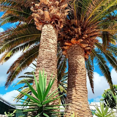 Llamar * Πουέρτο Ντελ Κάρμεν